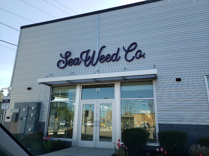 Video tour of SeaWeed Co. - Portland Adult-Use Cannabis Dispensary (Recreational Marijuana) retail environment