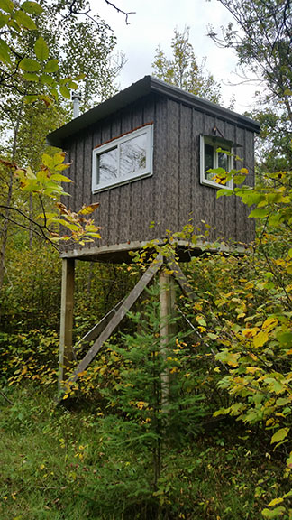 Double XL Trophy Whitetails - Photo 4