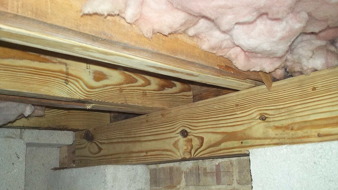 Gilbert & Son Moisture Mold & Foundation — photo