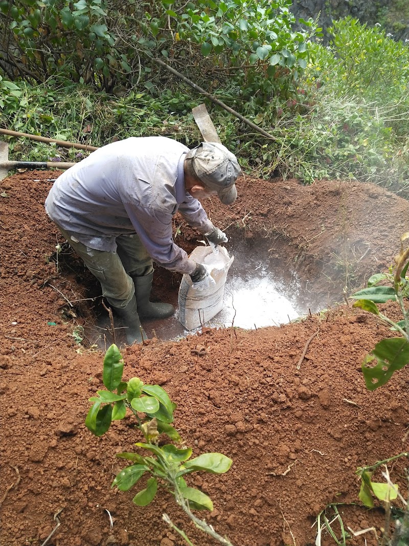 Servicio Veterinario A Domicilio 24 Horas