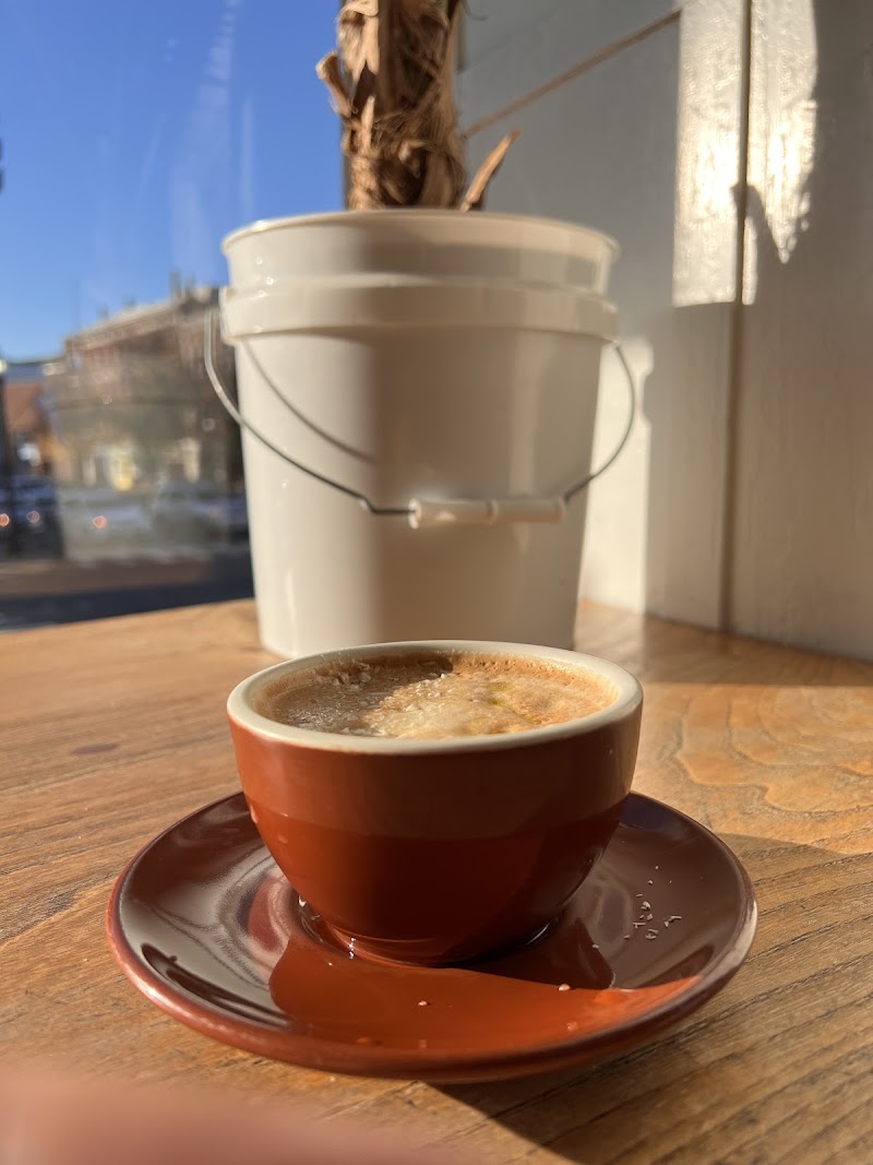 Catalpa Coffee photo 2