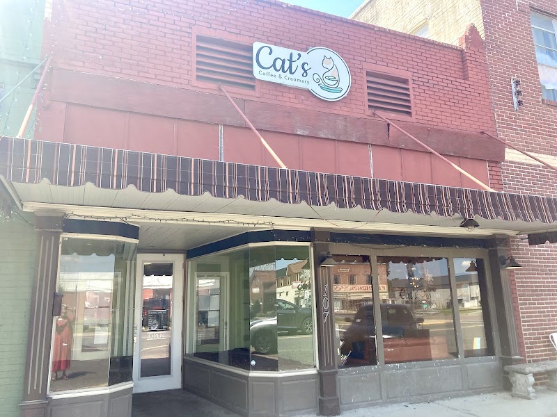 Cat's Coffee & Creamery photo 3