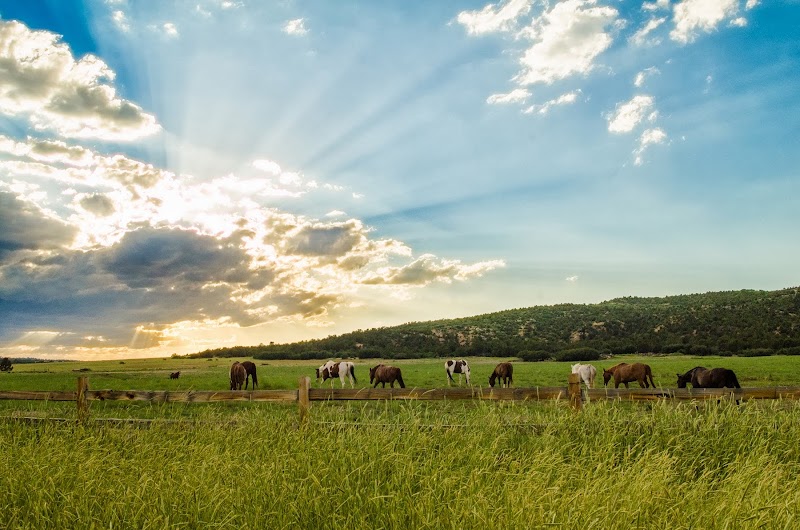 Zion Mountain Ranch - Photo 3