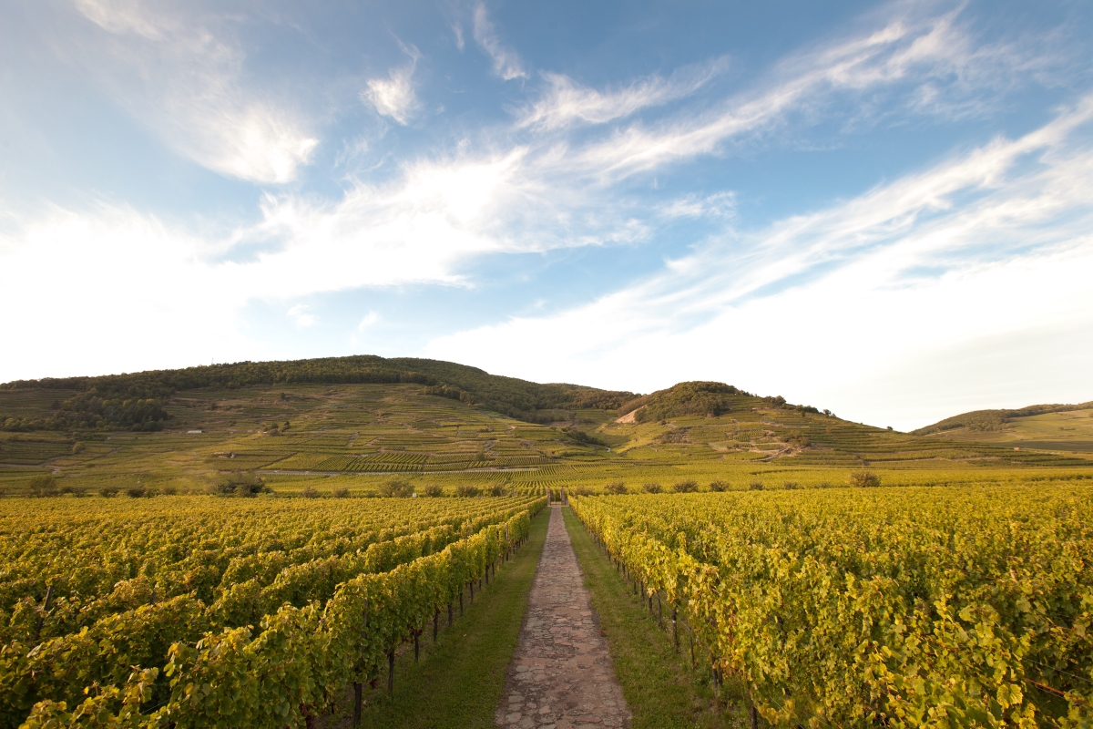 Domaine Weinbach