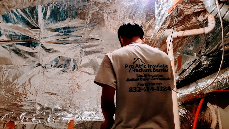 Pro Attic / Radiant barrier