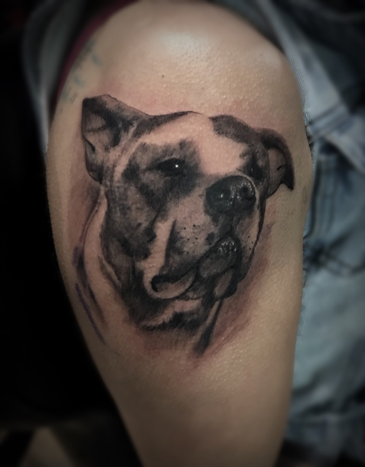 Hard Knox Tattoo — tattoo studio near Yonkers
