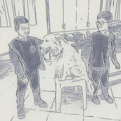 K.LEV פנסיון בוטיק | כלבן טיפולי | מאלף כלבים