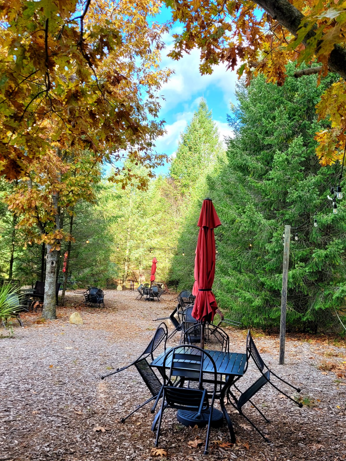 Oceana Vineyard & Winery 3