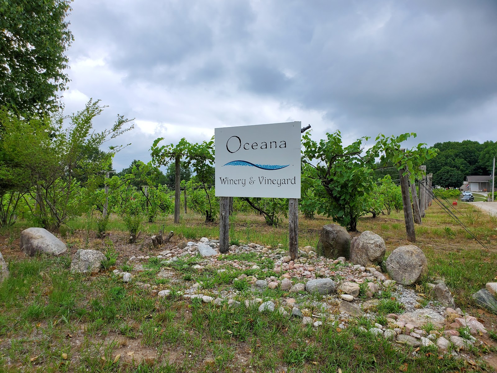 Oceana Vineyard & Winery 4