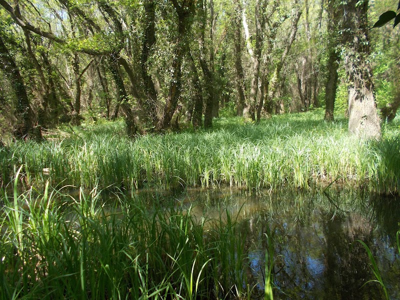 Baltata: что важно знать перед визитом