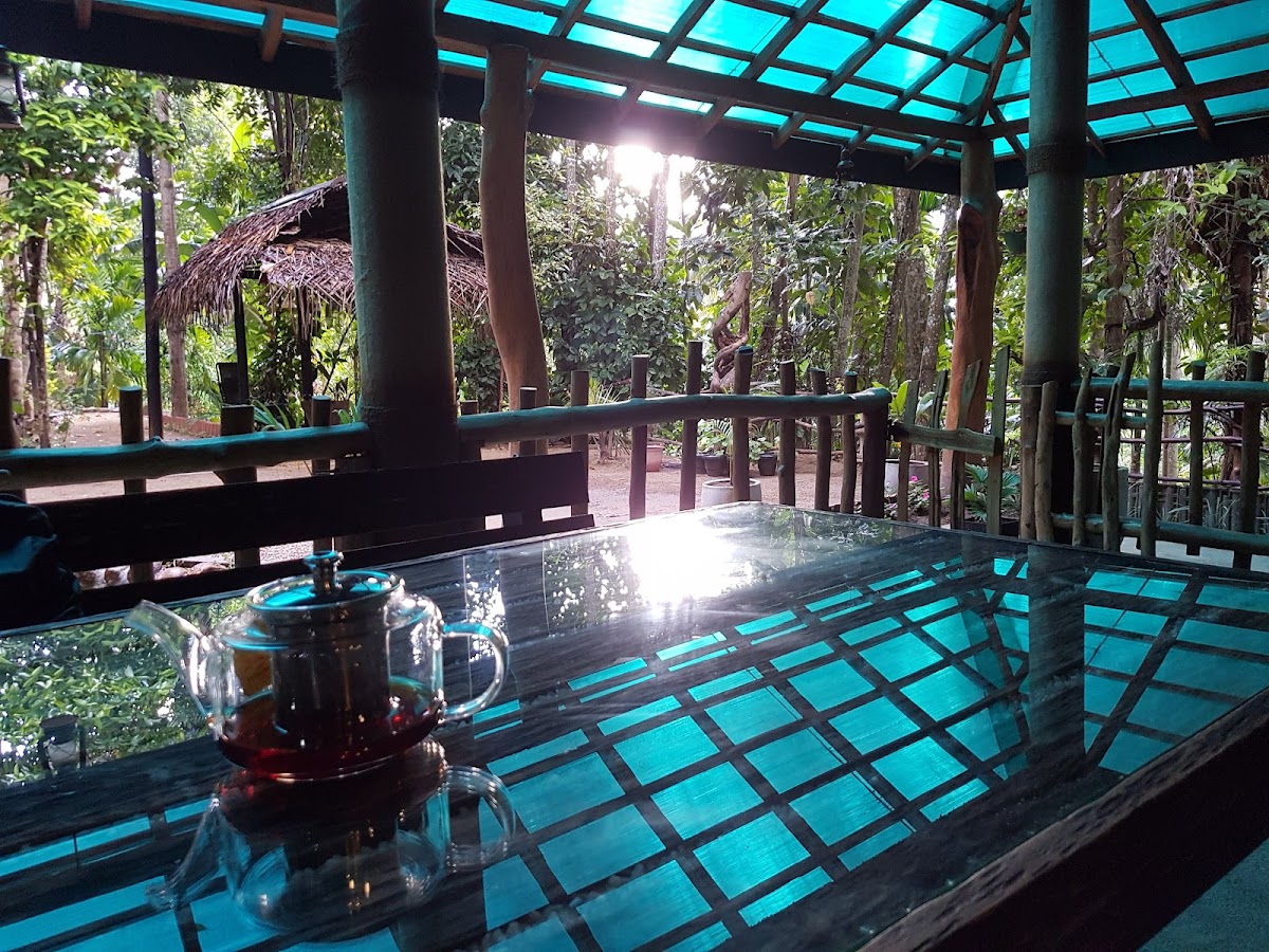 Arana Eco Lodge & Yoga Center - Ella, Sri Lanka — 4