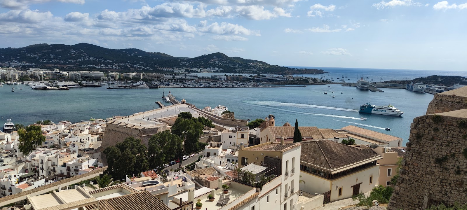 Best Dog-Friendly Hotels in Ibiza, Spain