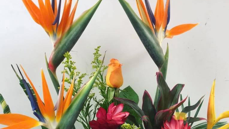 Paola's Flowers and Events: Google Places image 2