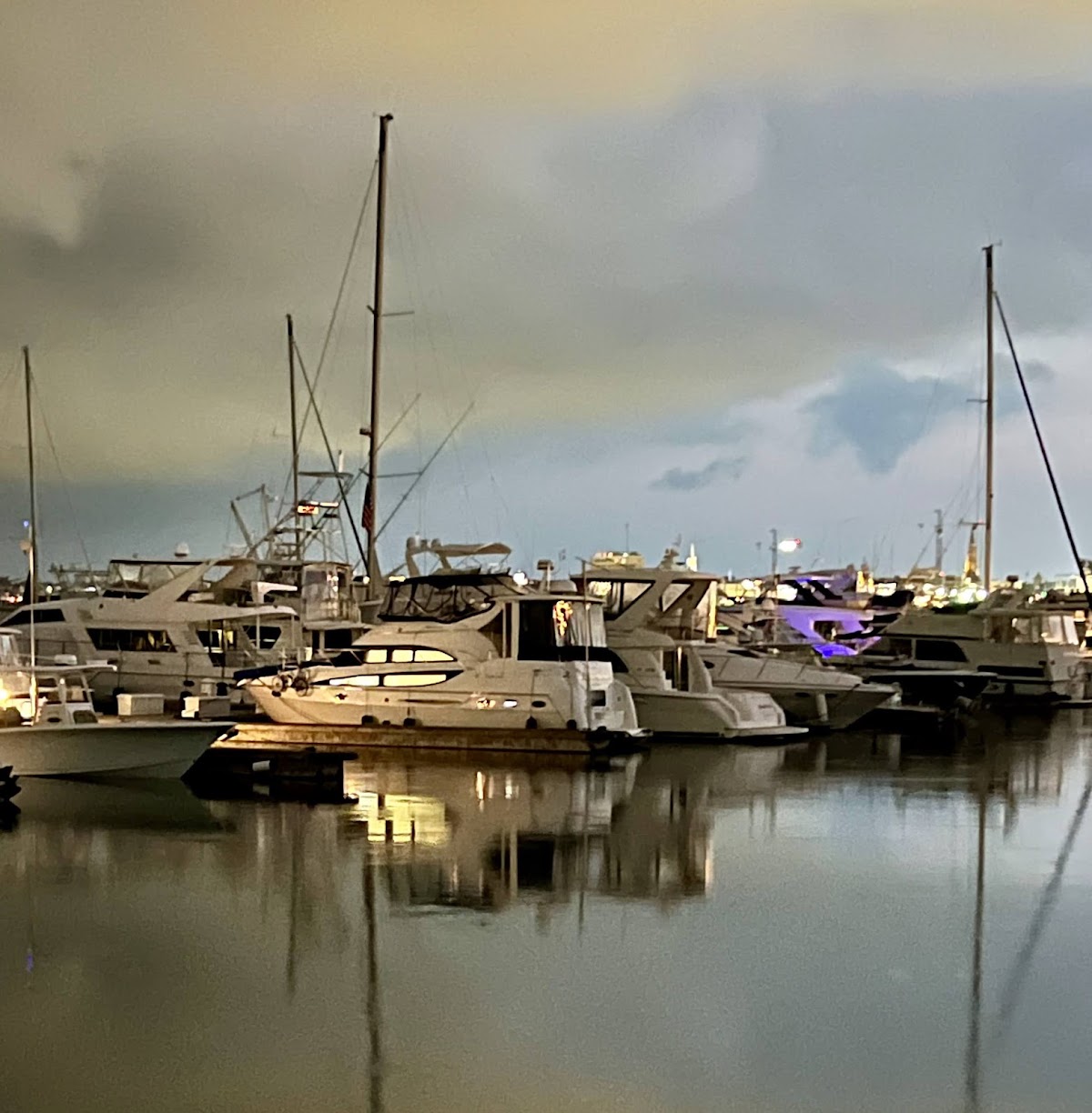 The Beach Club at Charleston Harbor Resort & Marina, dog-friendly hotel in Charleston