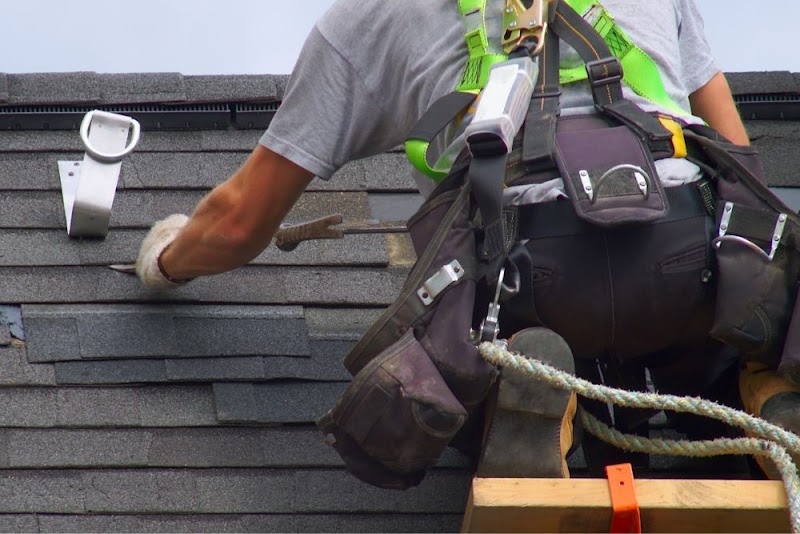 Roof Repair PHD photo 3