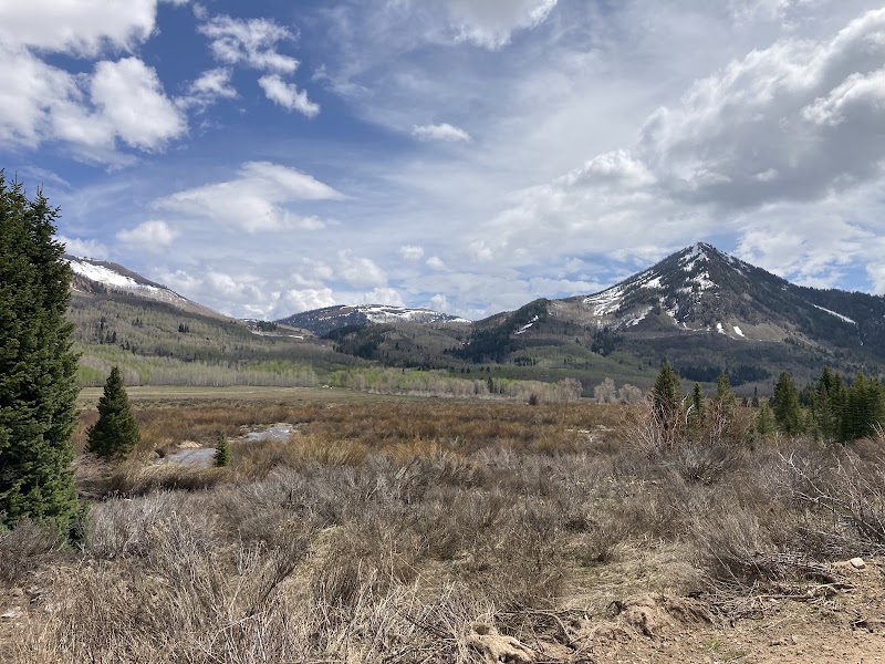 Thousand Peaks Ranch - Photo 5