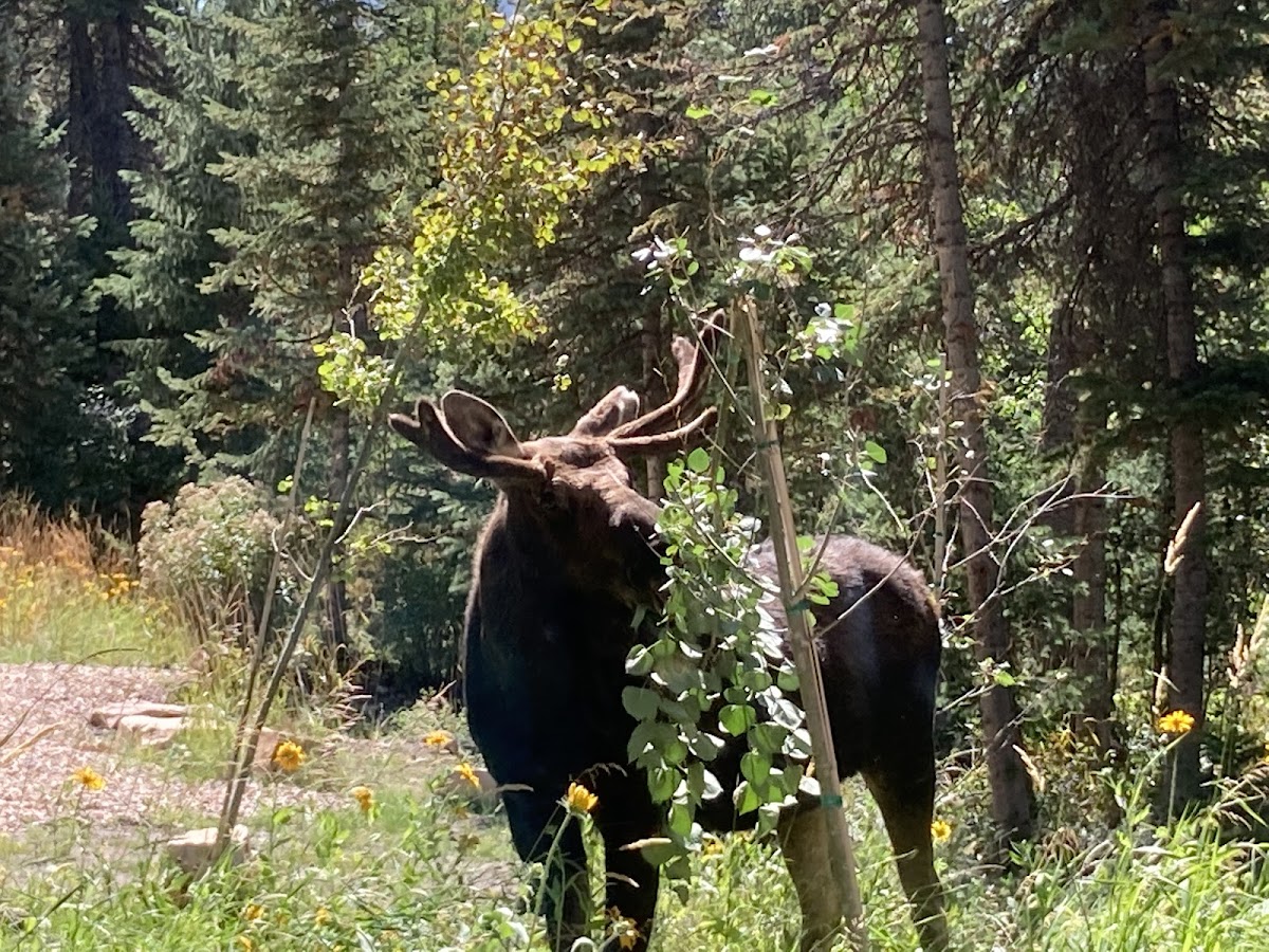 Thousand Peaks Ranch