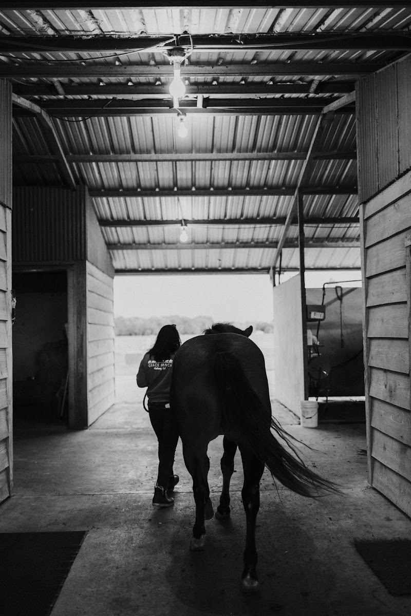 Grace Ranch LLC - Photo 3