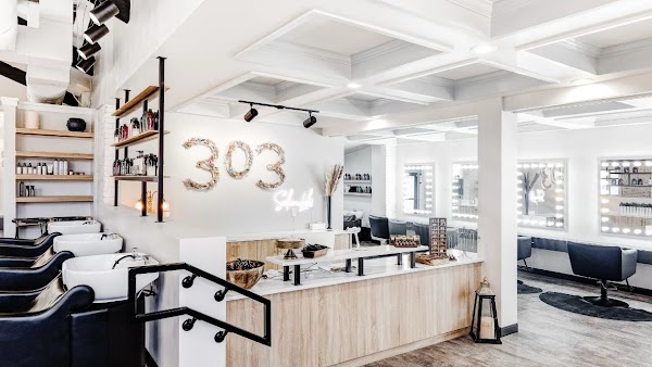 303 Salon Lohi portfolio