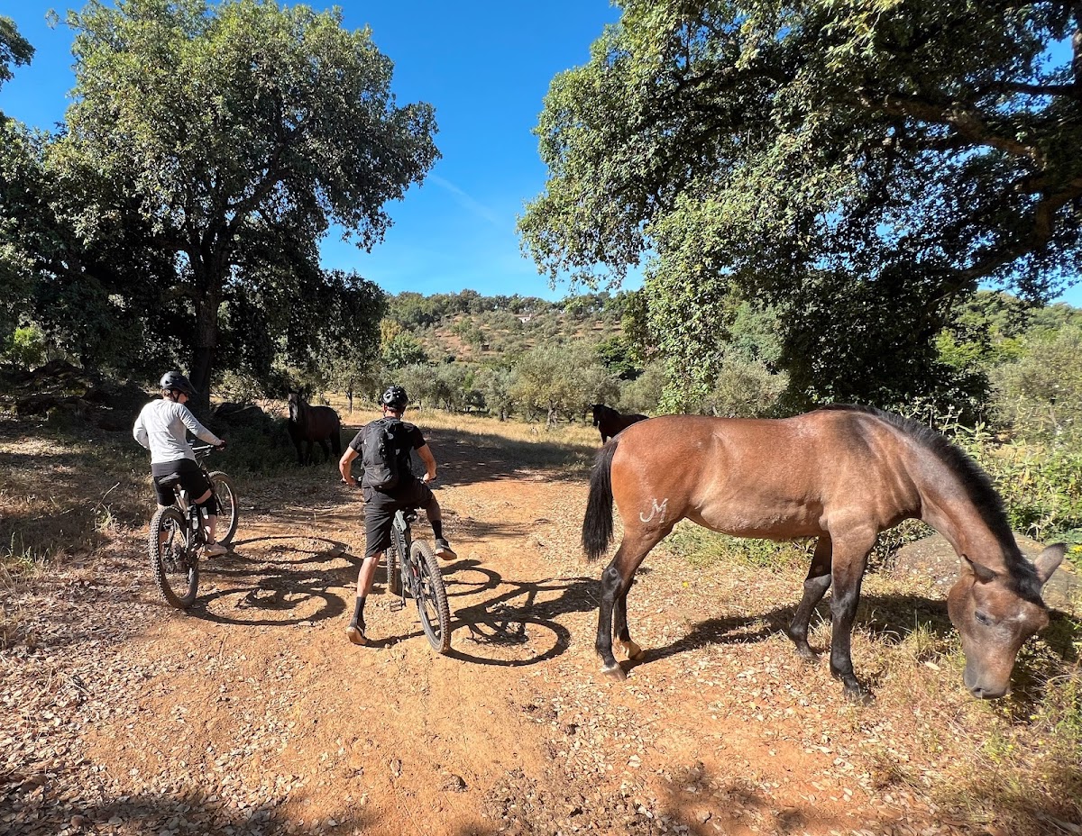 Finca el Moro