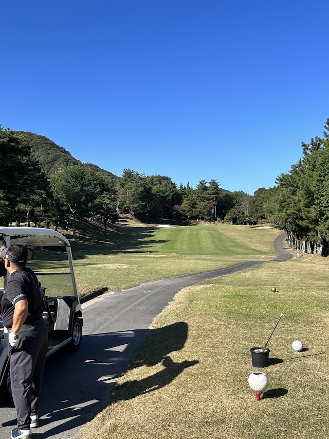 Koka Country Club - Photo 6