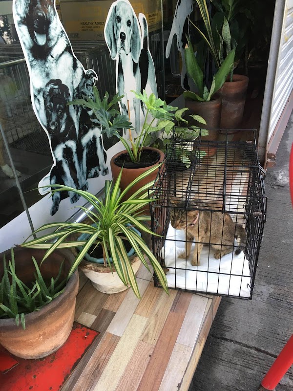 Great&Small Animal Clinic