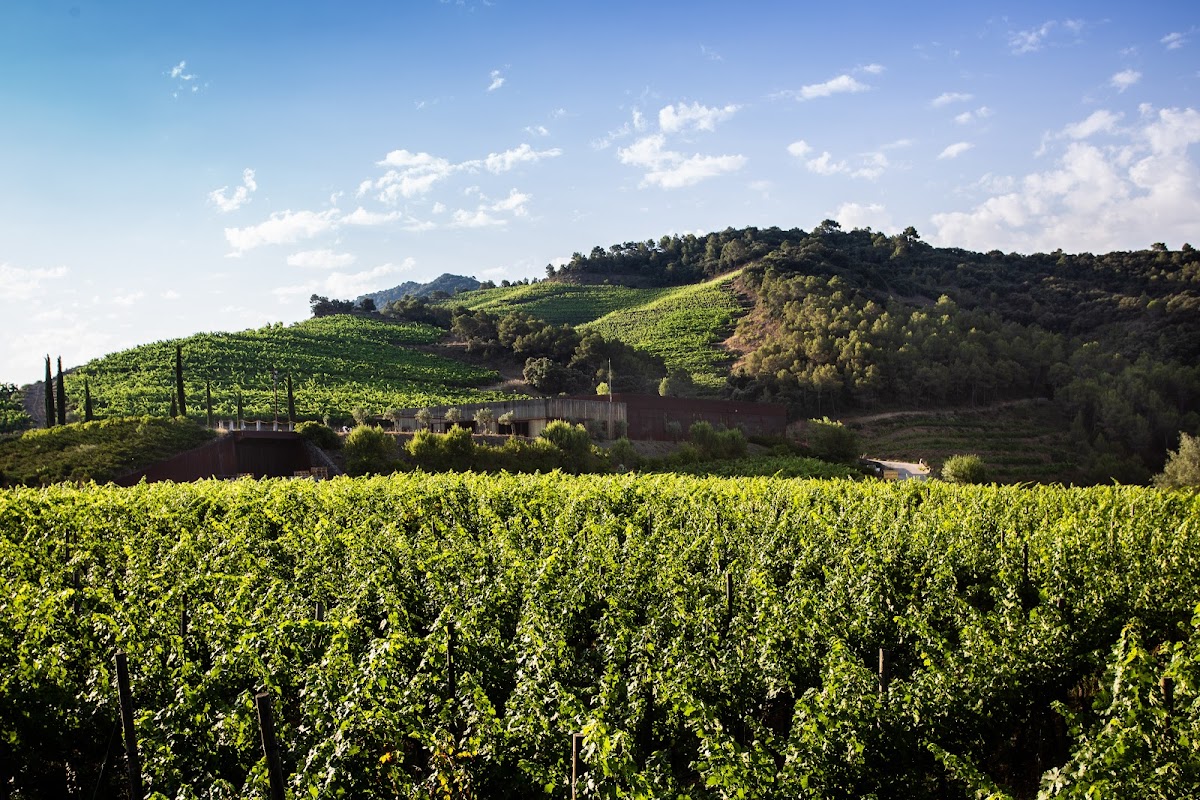 Perinet winery | Bodega&enoturismo