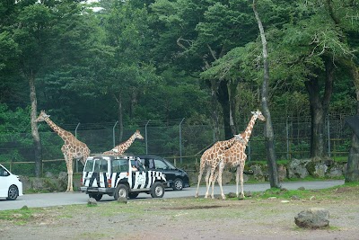 Fuji Safari Park - 3