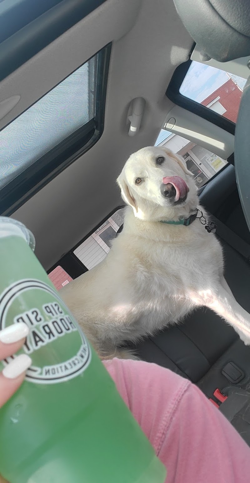 New Creation Nutrition photo 4