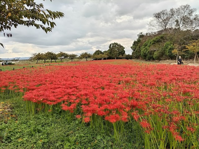 Hanakairou Golf Course - Photo 2