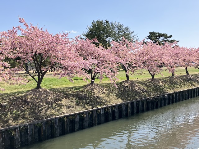 Hanakairou Golf Course - Photo 7