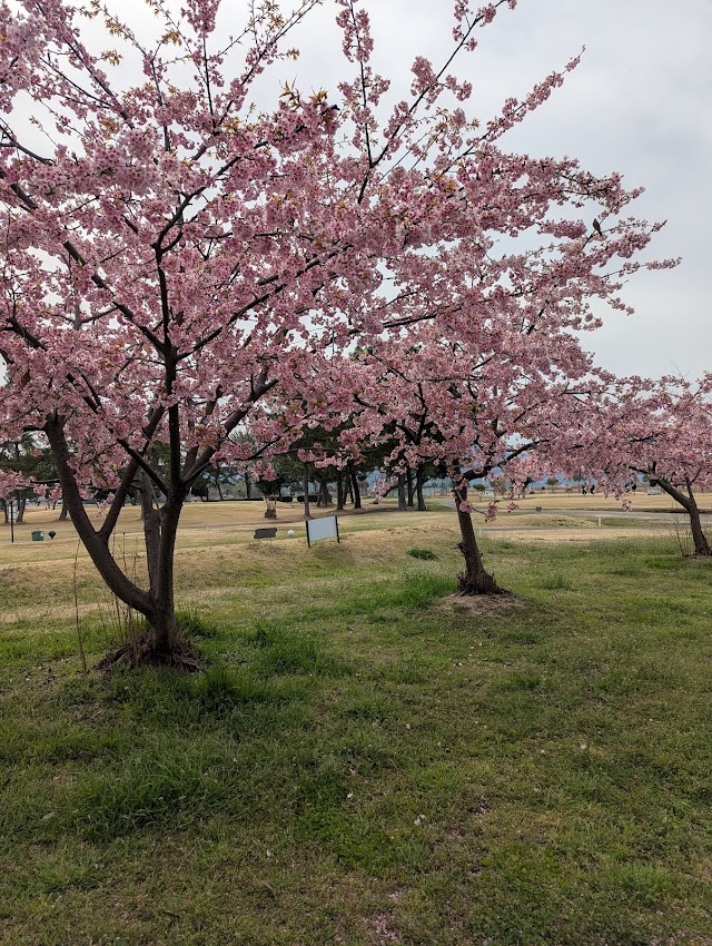Hanakairou Golf Course - Photo 9