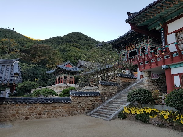 🇰🇷 Things to do in Korea - March 2026 3