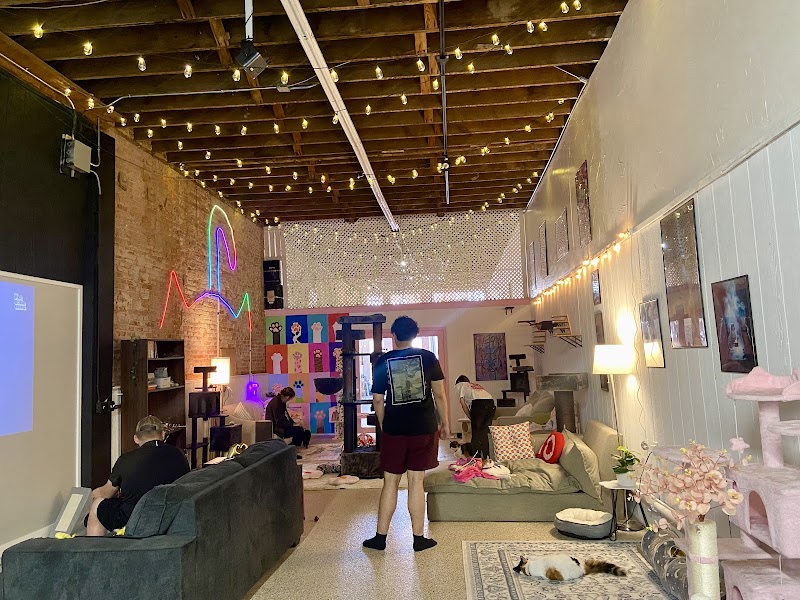 Meow and Mocha Cat Cafe