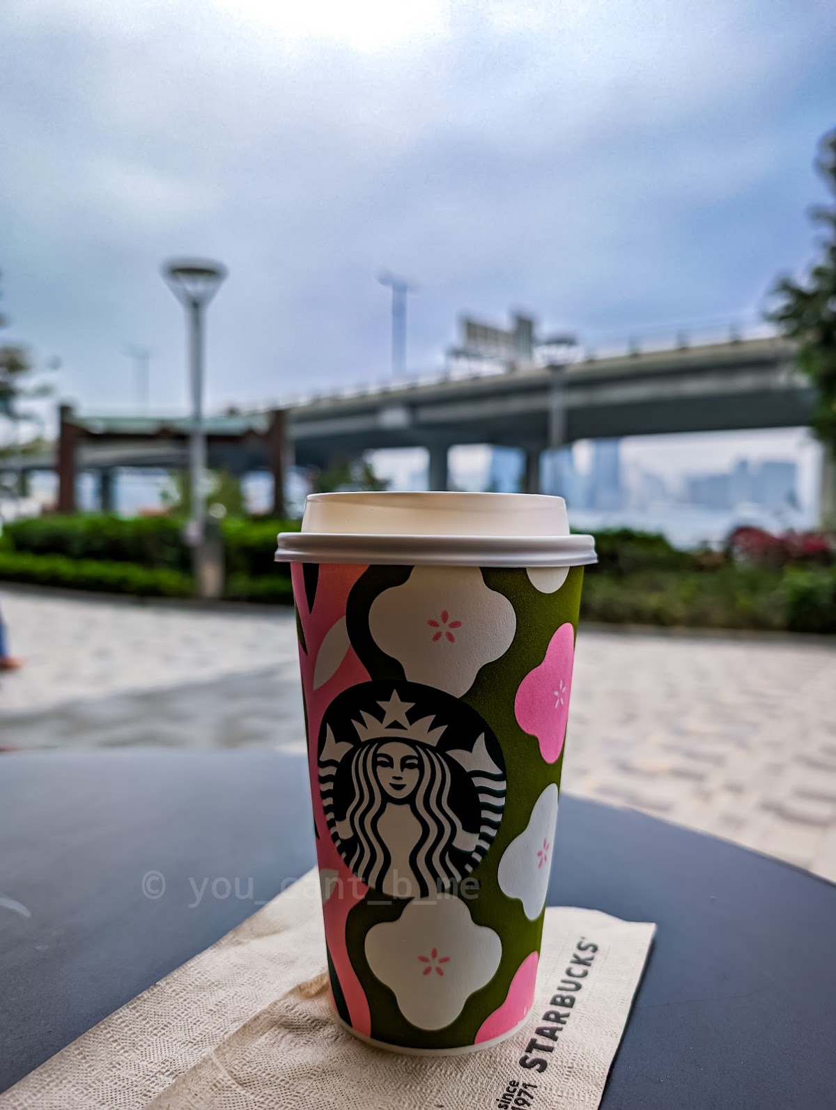星巴克 (北角匯) photo 5