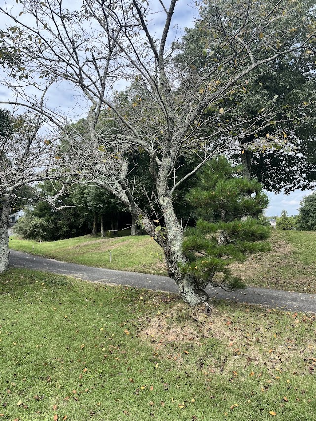 Banshu Toyo Golf Club - Photo 9