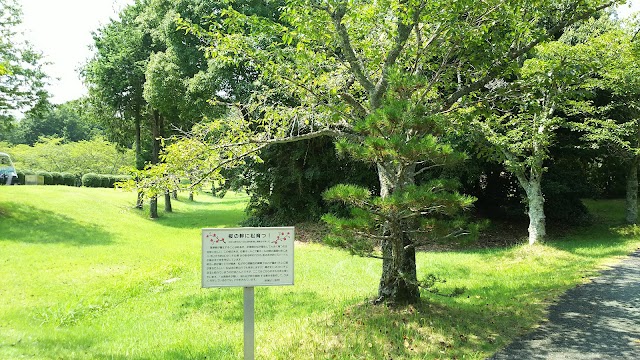 Banshu Toyo Golf Club - Photo 10