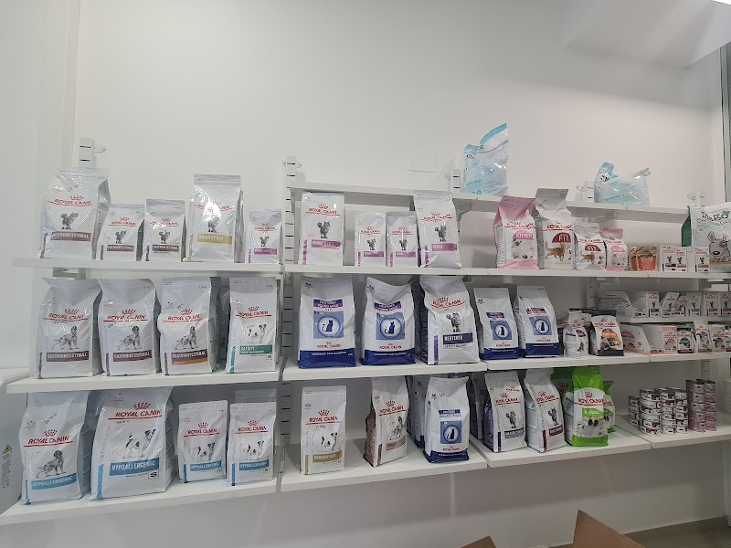 Veterinario en Ourense | Clínica Veterinaria Puga