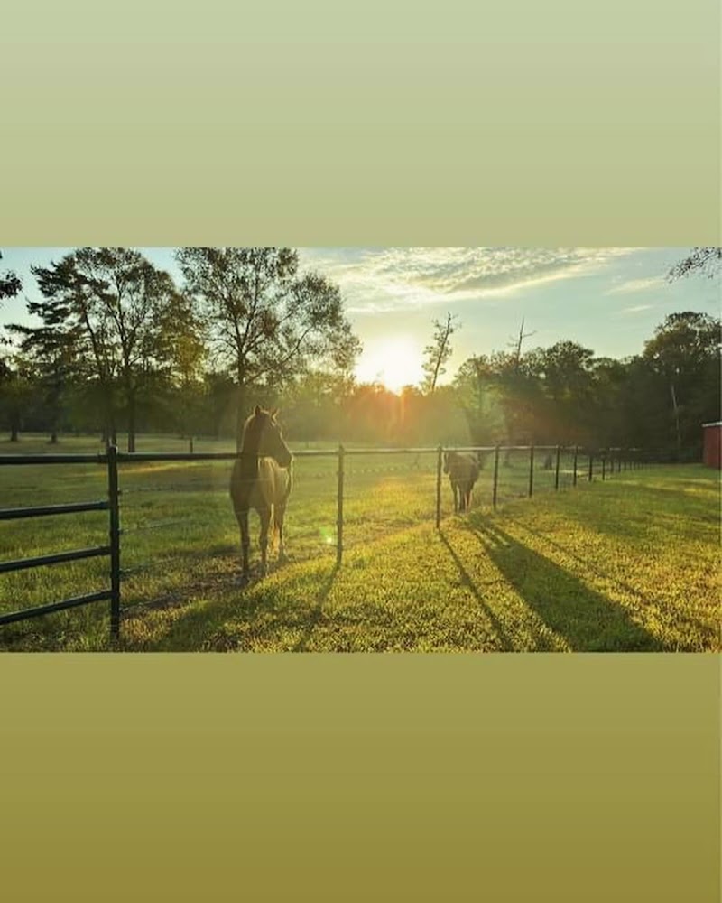 Big Hat Ranch MS LLC - Photo 3