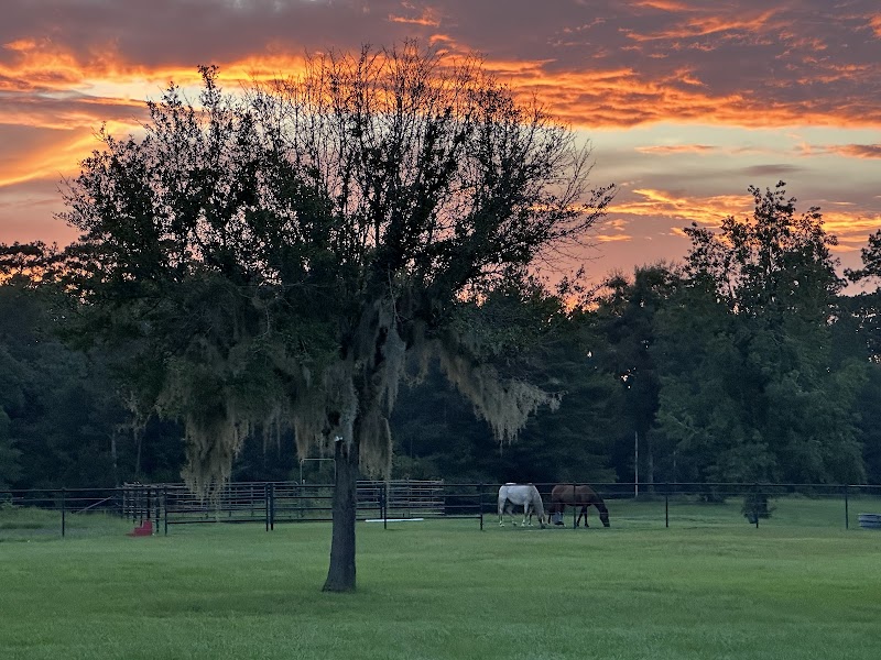 Big Hat Ranch MS LLC - Photo 6