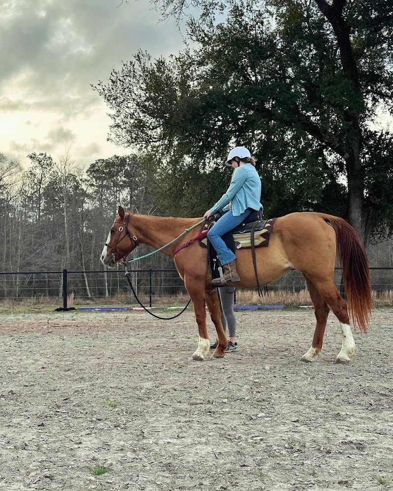 Big Hat Ranch MS LLC - Photo 2