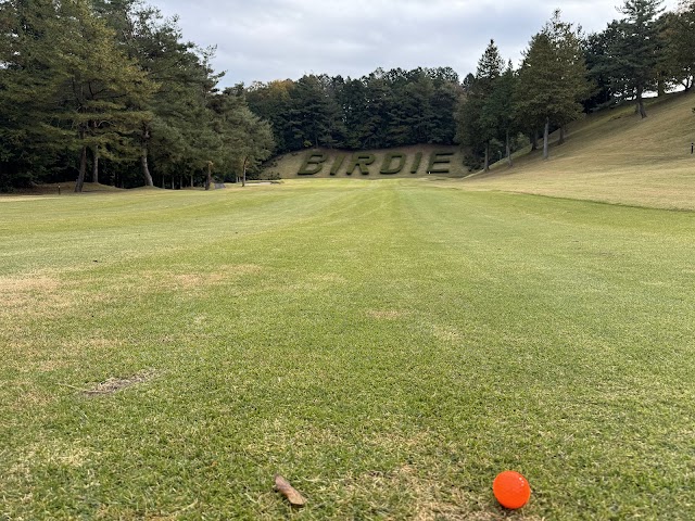 Tokyo Birdie Club - Photo 1