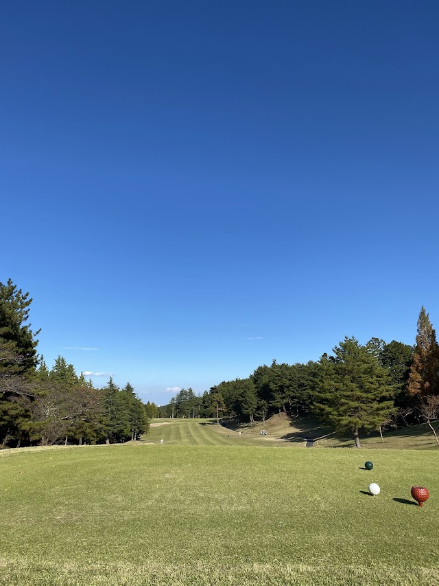 Tokyo Birdie Club - Photo 5
