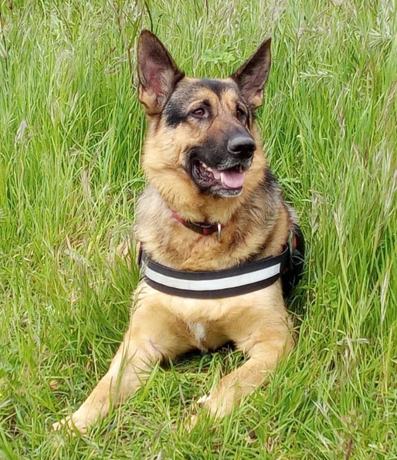 Veterplas Salud Animal