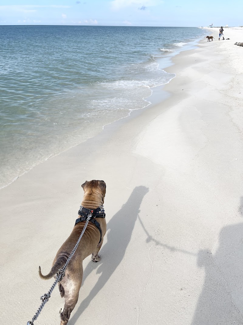 Pensacola Dog Beach West in Destin