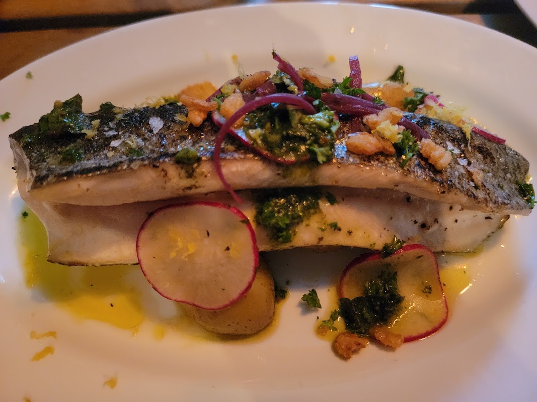 The Shellmore photo 2