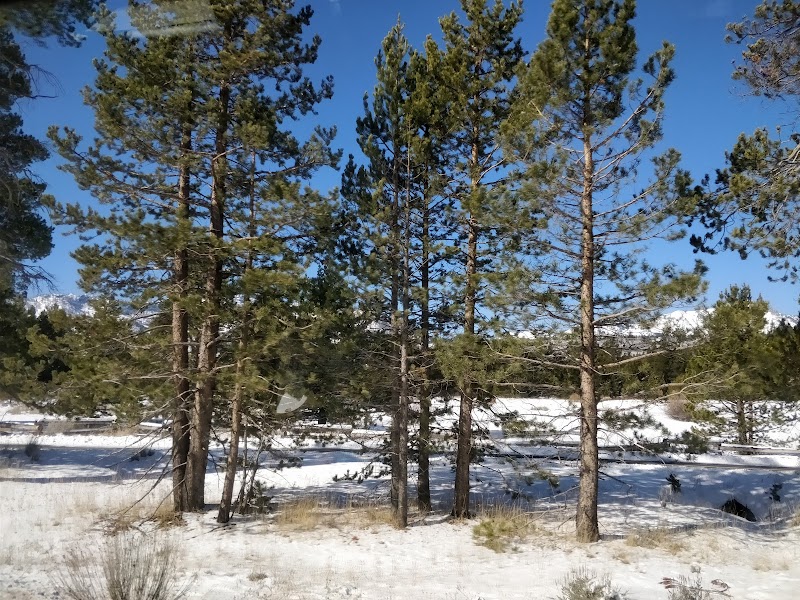 Lake Tahoe Golf Course photo 4