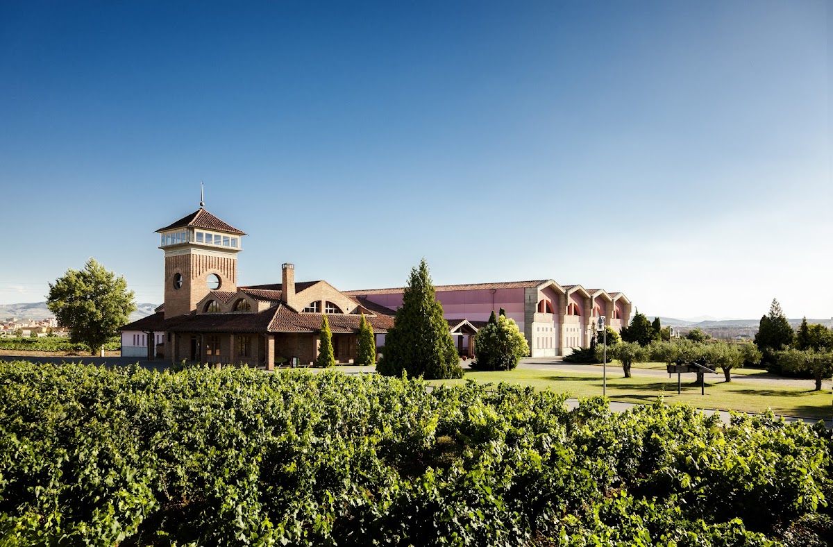 Bodega Viña Ijalba