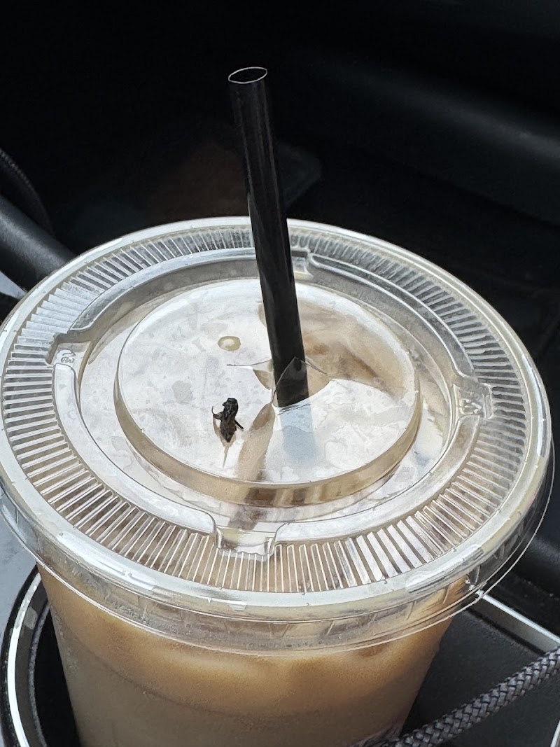 Marylou's Coffee photo 2