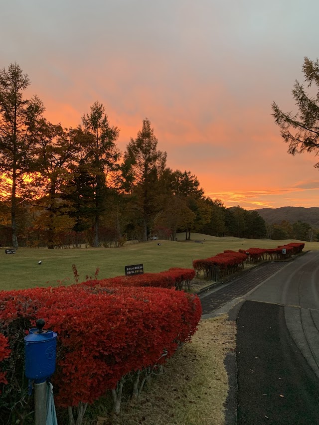 Minami Nagano Golf Club - Photo 8
